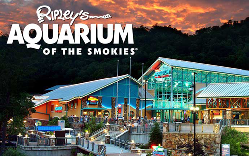 Ripley's Aquarium